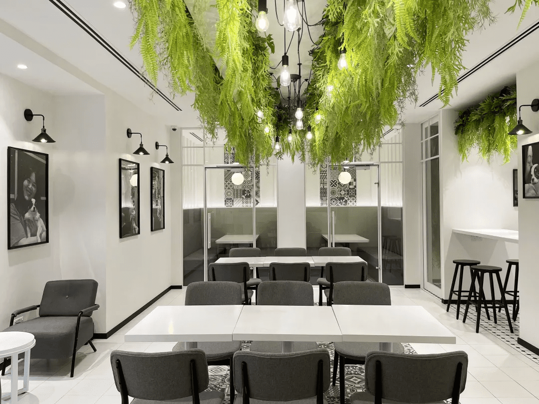Modern Café Interior Design - Cactus Art